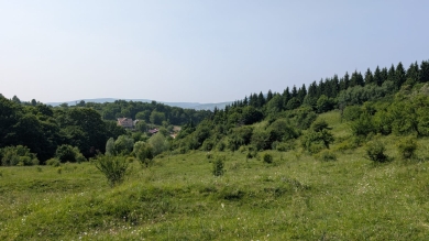 Teren 500 mp, zona verde, 5 minute de centru, ocazie!