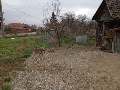Vând teren intravilan 