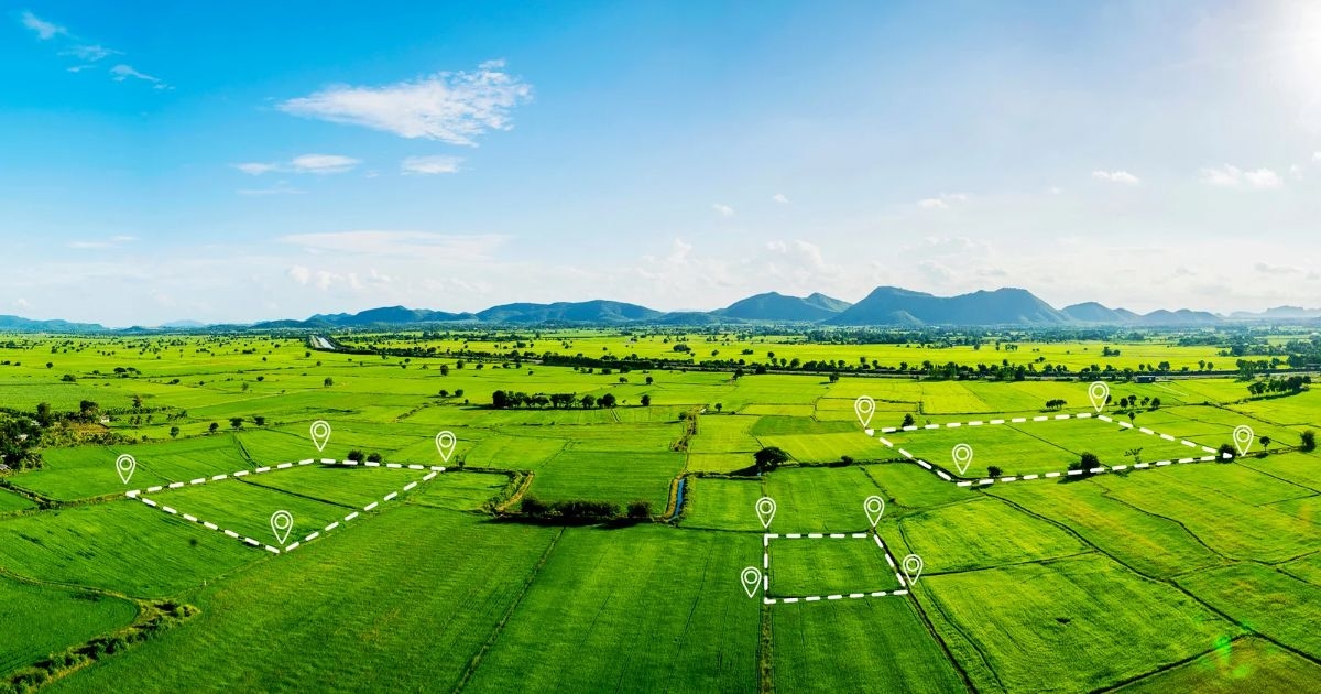 Terenuri de vânzare în Bistrița-Năsăud 2026: creștere, investiții și oportunități