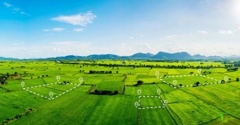 Terenuri de vânzare în Bistrița-Năsăud 2026: creștere, investiții și oportunități